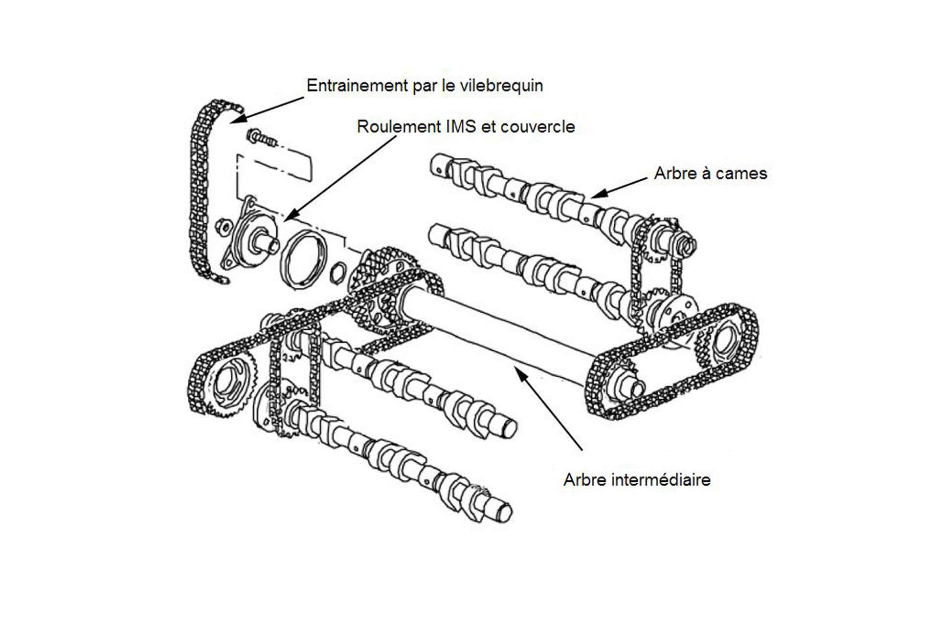 Lire cette publication : Fragilité de l'arbre intermédiaire IMS